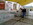 Asociación de cunicultores